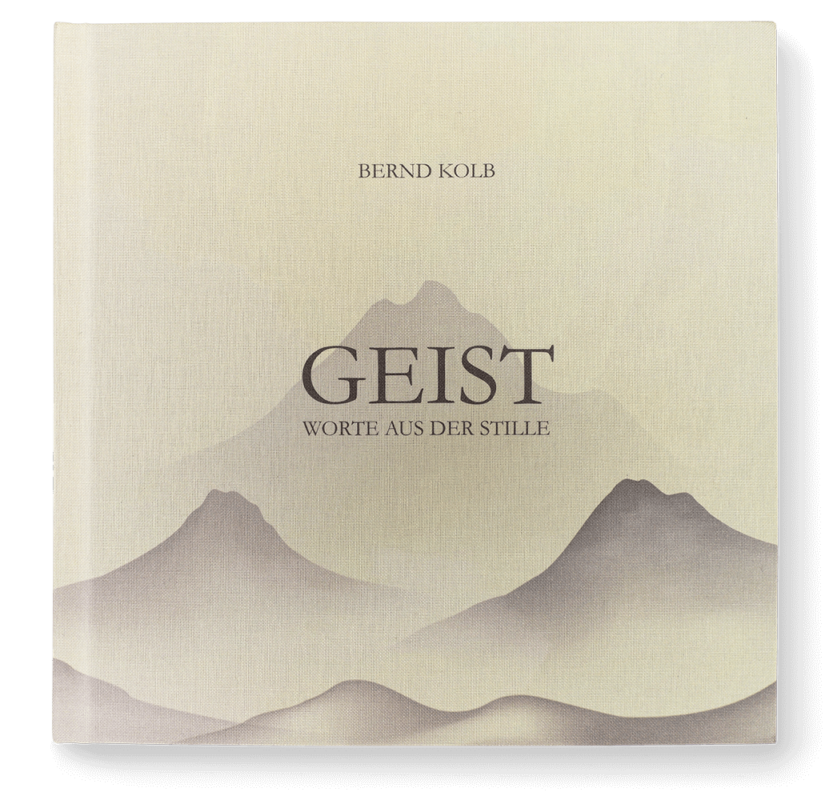 Geist Buch Bernd Kolb Cover Frontal
