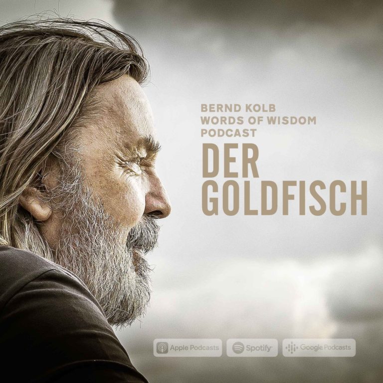 Artwork Bernd Kolb Words of Wisdom Podcast Der Goldfisch