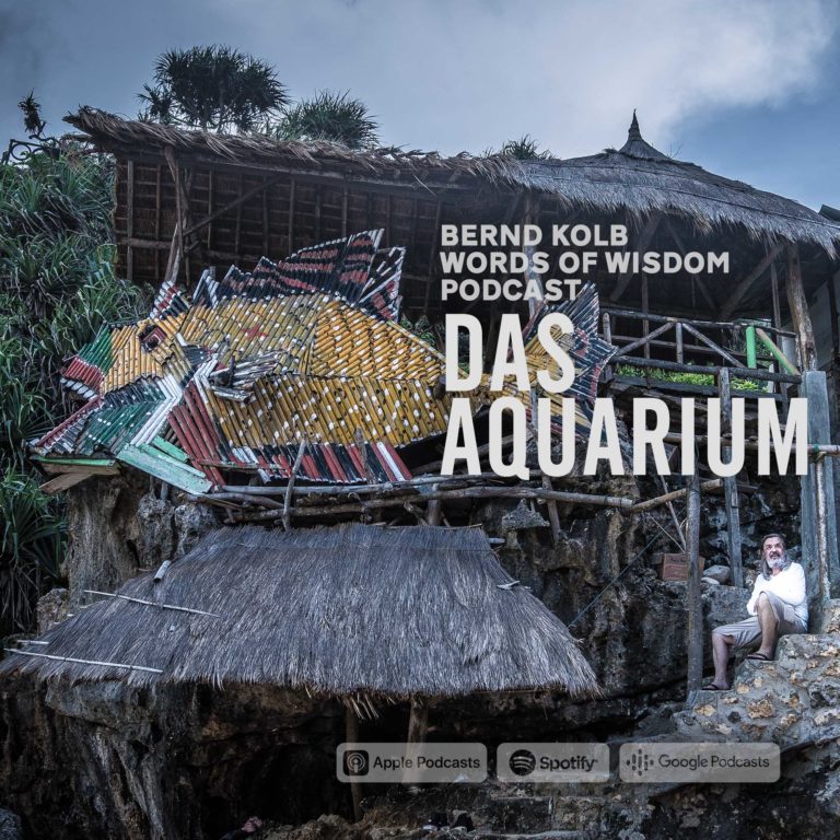 Artwork Bernd Kolb Words of Wisdom Podcast Das Aquarium